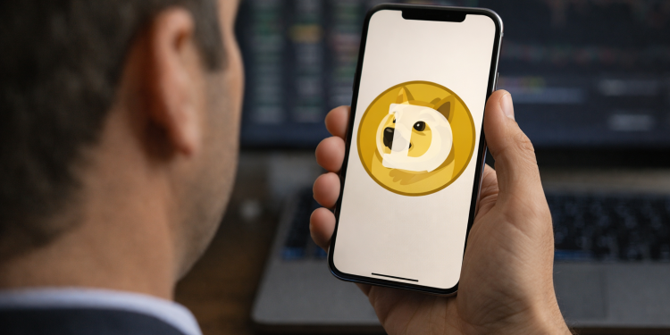 Dogecoin price outlook: whales accumulate as memecoin momentum decline