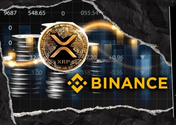 XRP Whale Trend on Binance Reverts to Two-Month Low