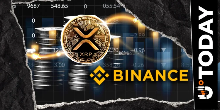 XRP Whale Trend on Binance Reverts to Two-Month Low