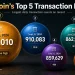 Bitcoin Transactions per Day Rebound in 2026, Reaching Third-Busiest Day Ever