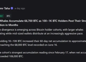 Whales vs. Mid-Tier Holders: The Dramatic Shift in Bitcoin Ownership Splitting the Market