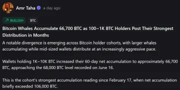 Whales vs. Mid-Tier Holders: The Dramatic Shift in Bitcoin Ownership Splitting the Market