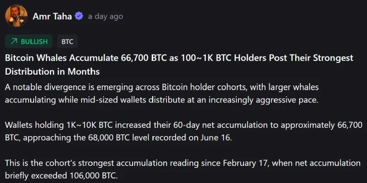 Whales vs. Mid-Tier Holders: The Dramatic Shift in Bitcoin Ownership Splitting the Market