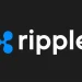 Ripple CEO Says Company Nearly Shut Down After SEC Sued in 2020