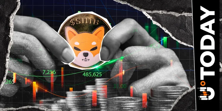 ‘Momentum Building’: Shiba Inu Veteran Reacts to 40% SHIB Price Surge