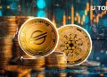 ADA Jumps Ahead of XLM Amid Unexpected Rally