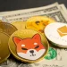 Half a Trillion Shiba Inu (SHIB) Is Out: Price Effect