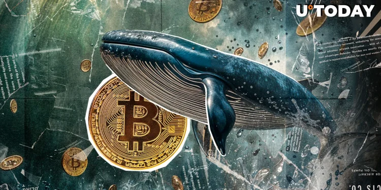 15-Year-Old Bitcoin Wallet Suddenly Awakens
