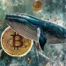 15-Year-Old Bitcoin Wallet Suddenly Awakens