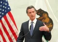 Meme Coin Ban for California Officials Signed by Governor