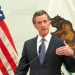 Meme Coin Ban for California Officials Signed by Governor