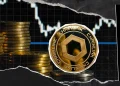 LINK Sees No Wallet Growth Despite Price Spike