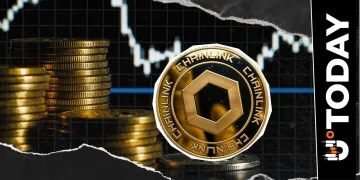 LINK Sees No Wallet Growth Despite Price Spike