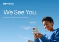 Tokenized Stocks Reach $262 Million In DeFi, But The Growth Is Not All On Base