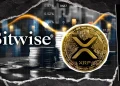 Bitwise Holds Over Half a Billion XRP