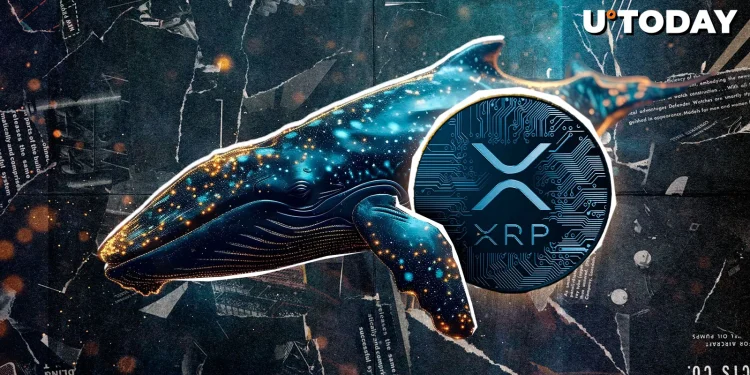 XRP Whales Reach Milestone Not Seen Since 2022