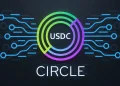 Circle Stock Falls as Mizuho Raises New AI Warning