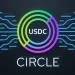 Circle Stock Falls as Mizuho Raises New AI Warning