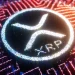 ‘We’re Early’: Creator of First XRP NFTs Points to Bull Run Everyone Missed
