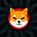 Shiba Inu (SHIB) Adds 440% in Long-Term Spot Flows, Though Short-Term Picture Is Worrying