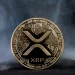 Major XRP Signal: Peter Brandt Reveals Cup and Handle