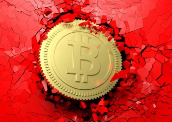 Bitcoin Treasury Stock Crashes 50% Amid Withdrawal Trouble
