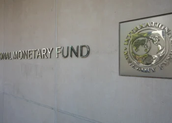 IMF Report Details Why Tokenized Finance Is Struggling to Scale