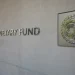IMF Report Details Why Tokenized Finance Is Struggling to Scale