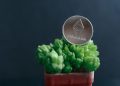 What Is the Difference Between Ethereum Blobs and Calldata?