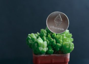 What Is the Difference Between Ethereum Blobs and Calldata?