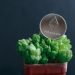 What Is the Difference Between Ethereum Blobs and Calldata?