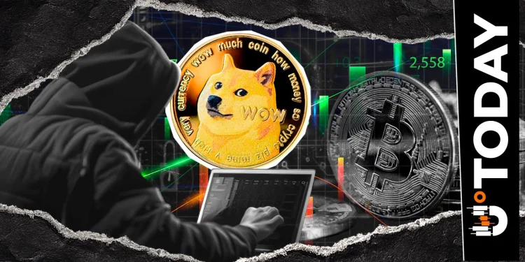 Dogecoin Contributor Outlines Steps for Real DOGE Ecosystem Growth