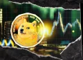 DOGE Beats Nike Over 5 Years: Here’s How Numbers Compare