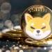 Shiba Inu (SHIB) Goes Live on Solana Network