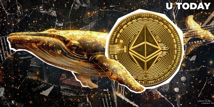 Massive Ethereum Whale Exits With $24.5 Million Profit