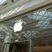 Is Apple (AAPL) Stock a Buy as iPhone 18 Pro Demand Cools?