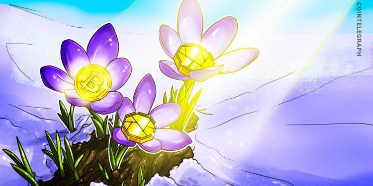 Bitwise CIO Sees ‘Crypto Spring’ in Q3 Market Rebound