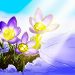 Bitwise CIO Sees ‘Crypto Spring’ in Q3 Market Rebound